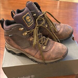 Timberland Brown Outdoor Boots with Padded Collar
